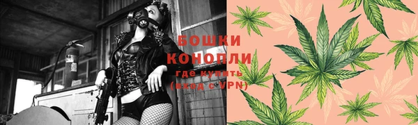 PSILOCYBIN Армянск