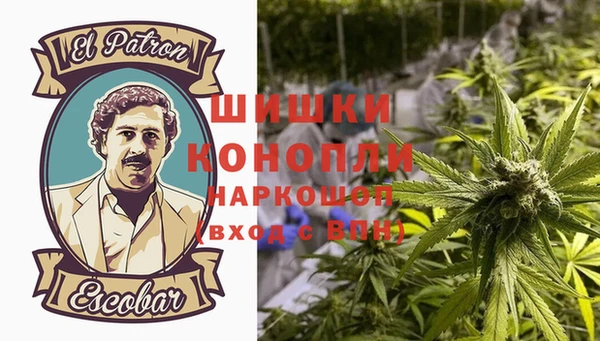 PSILOCYBIN Армянск