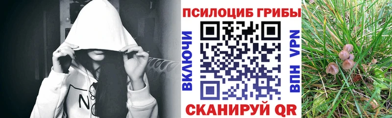 продажа наркотиков  Сасово  Псилоцибиновые грибы Magic Shrooms 